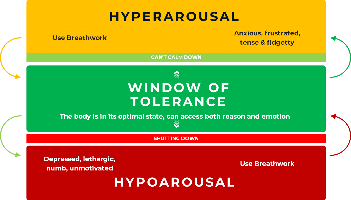 Stress response is the Window of Tolerance