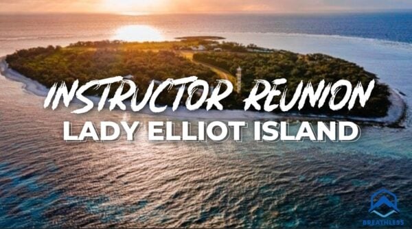 Ticket: Lady Elliot Island Freediving | Instructor Reunion | 22-27 April 2025